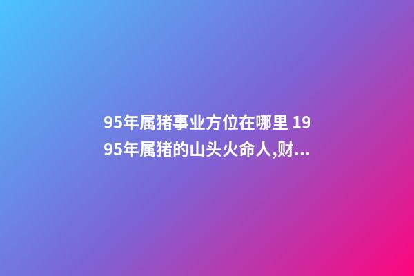 95年属猪事业方位在哪里 1995年属猪的山头火命人,财运方向、去那边为好,请指导？-第1张-观点-玄机派